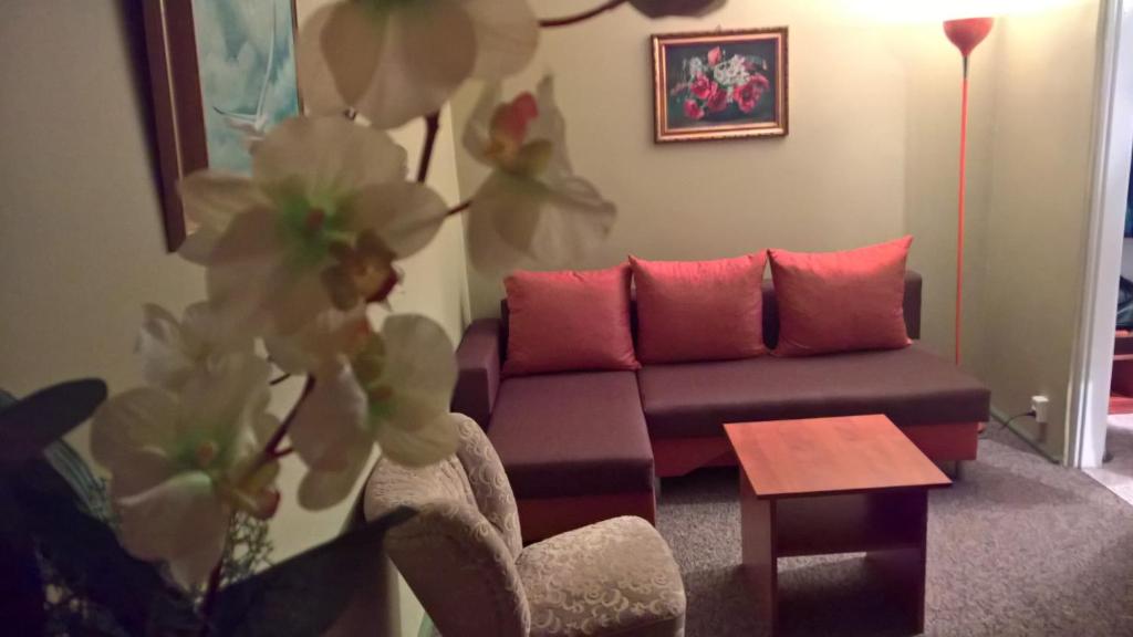 Χώρος καθιστικού στο Apartament Konopnicka