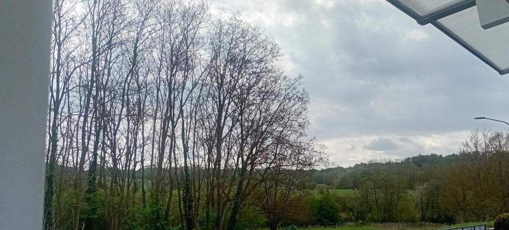 a tree with no leaves is seen through a window at Saarlouis2 in Saarlouis