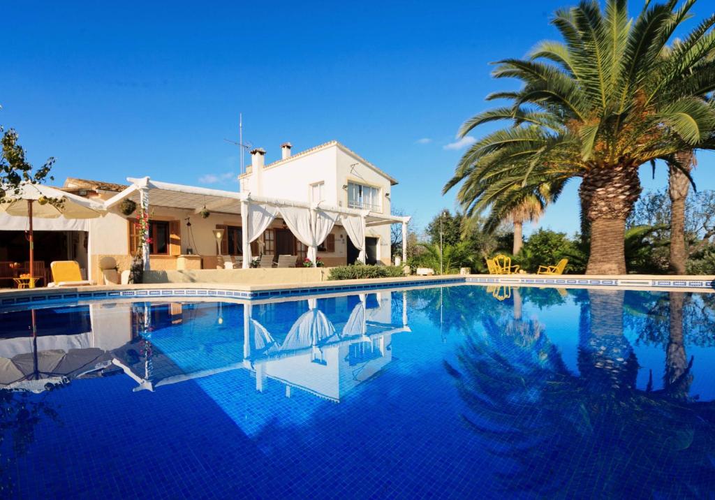 a swimming pool with a palm tree and a house at Cana Joana in Santa Margalida
