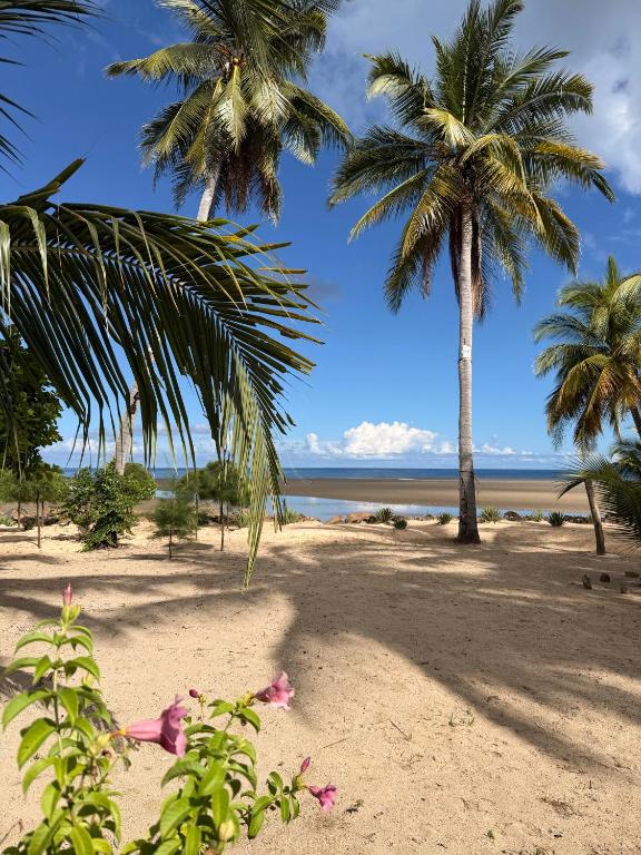 two palm trees on a sandy beach with the ocean at Maison le Rêve in Nosy Be