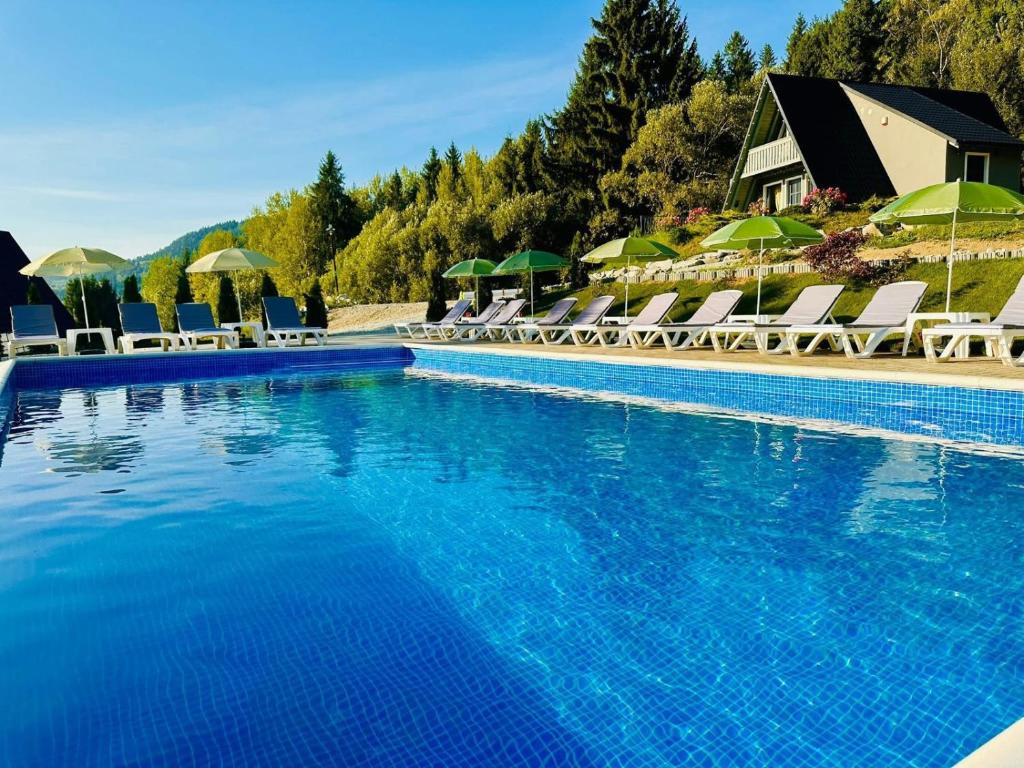 a large swimming pool with chairs and umbrellas at Cabana Doinița in Borşa