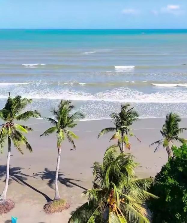 a group of palm trees on a beach with the ocean at Henalric's Place in Caramay