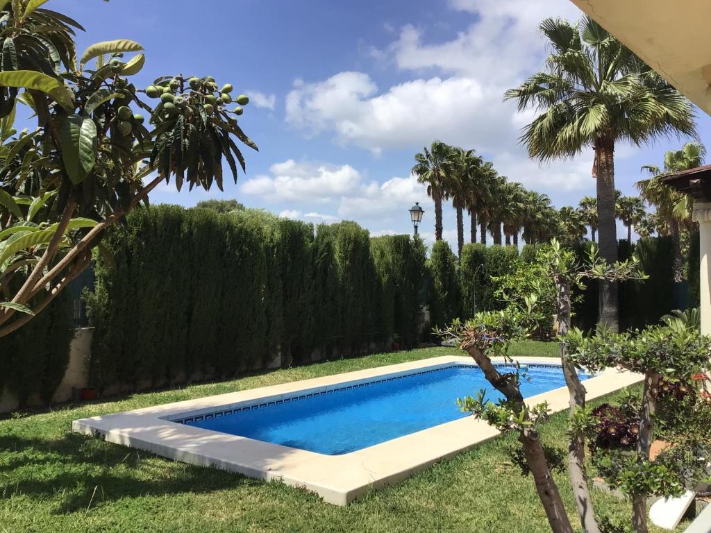 a swimming pool in a yard with palm trees at Villa HEIDI in Málaga