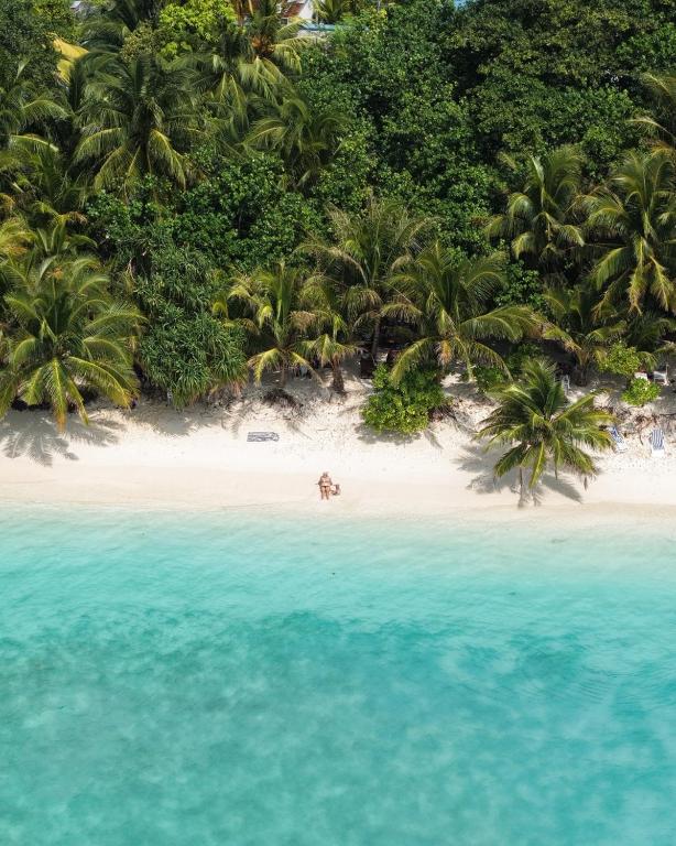 Ocean Bounty - View 27