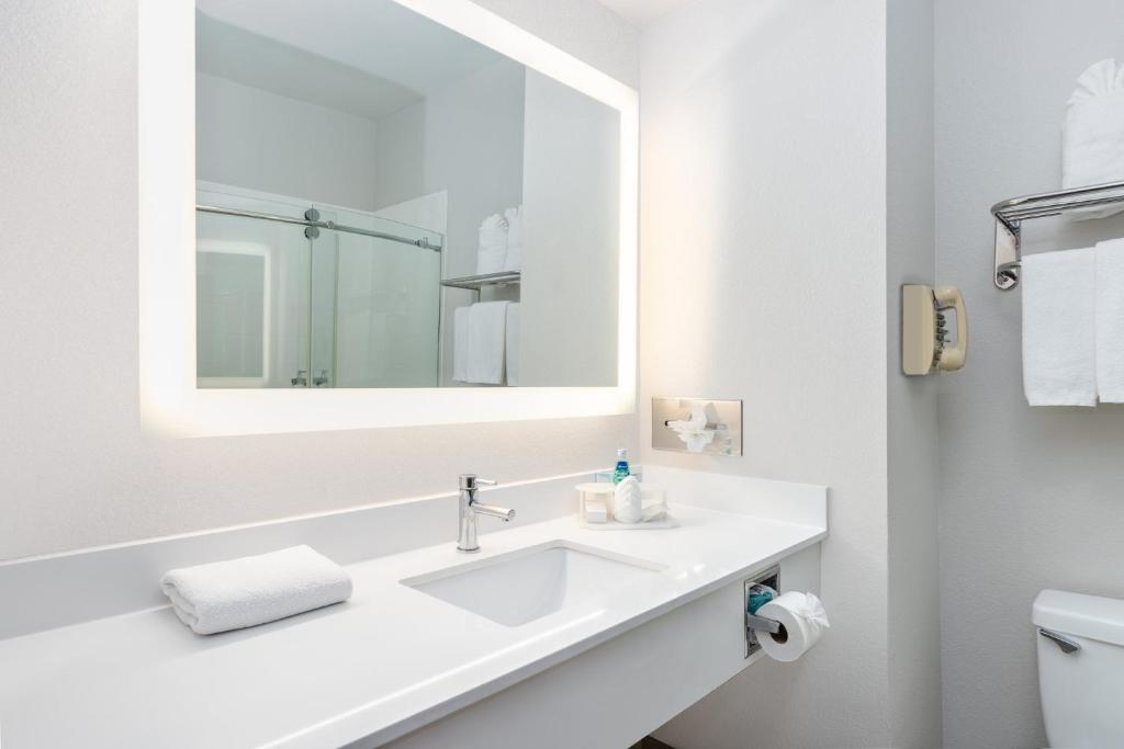 Holiday Inn Express Hotel & Suites Dallas - Grand Prairie I-20 by IHG - Chambre Lit King-Size Standard