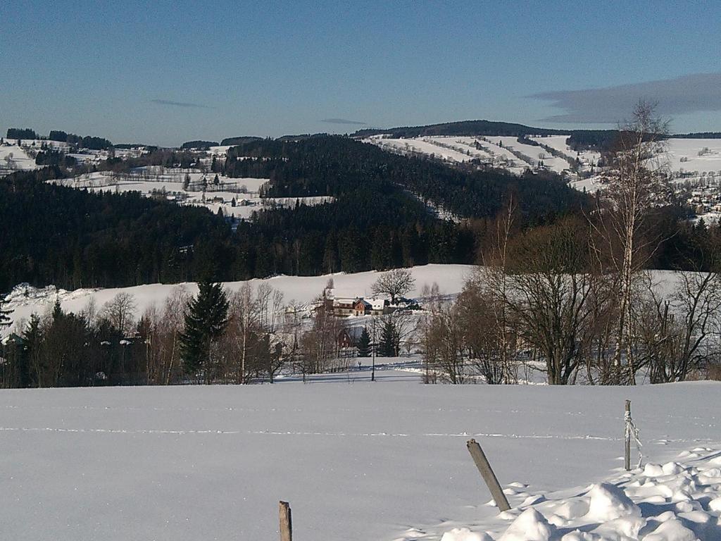 a snow covered field with a mountain in the background at Apartmány Kuřátko in Benecko