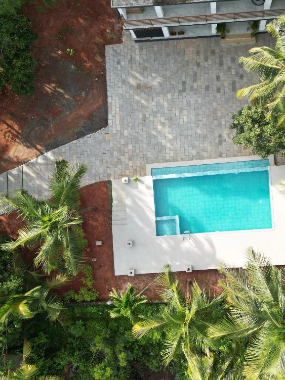 an overhead view of a swimming pool with palm trees at GroveStay in Chakkarakkal