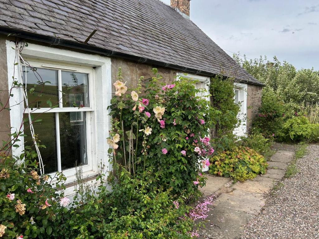 a house with flowers on the side of it at Broombarns Farm Cottage in Forgandenny
