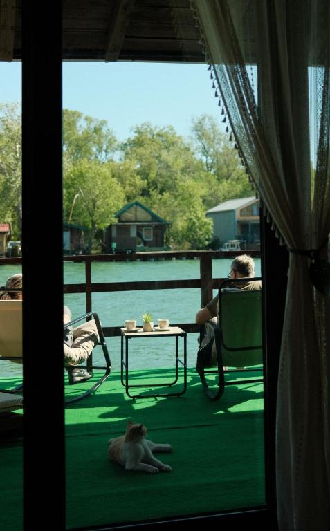 a monkey laying on the floor in front of a window at Jack Sparrow's cottage- Ada Bojana River in Donji Štoj