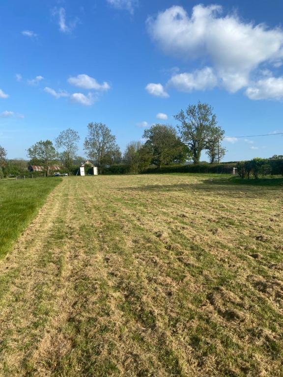 an open field with trees in the background at Hilltop Farm Camping in Haselbury Bryan