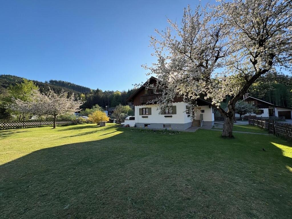 a large yard with a house and a tree at Bergliebe in Weitnau