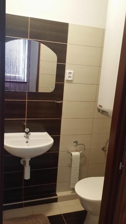 ein Bad mit einem Waschbecken und einem WC in der Unterkunft Penzion u Janky in Dubňany