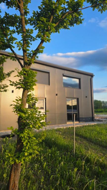 a building with a tree in front of it at Hangar Hangout by the Lake in Priles
