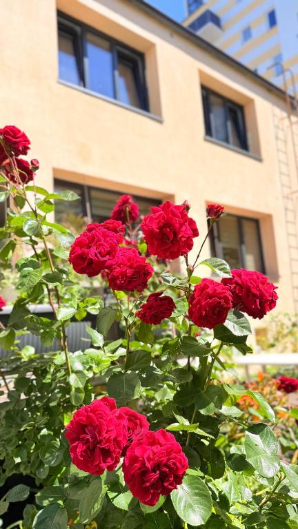 a bunch of red roses in front of a building at Pokoje gościnne Małgorzata Dąbrowska in Kołobrzeg