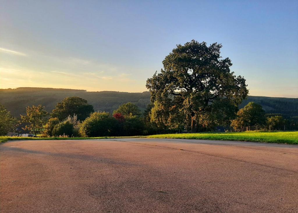 an empty road with a tree in the distance at Nature Circuit Francorchamps in Stavelot