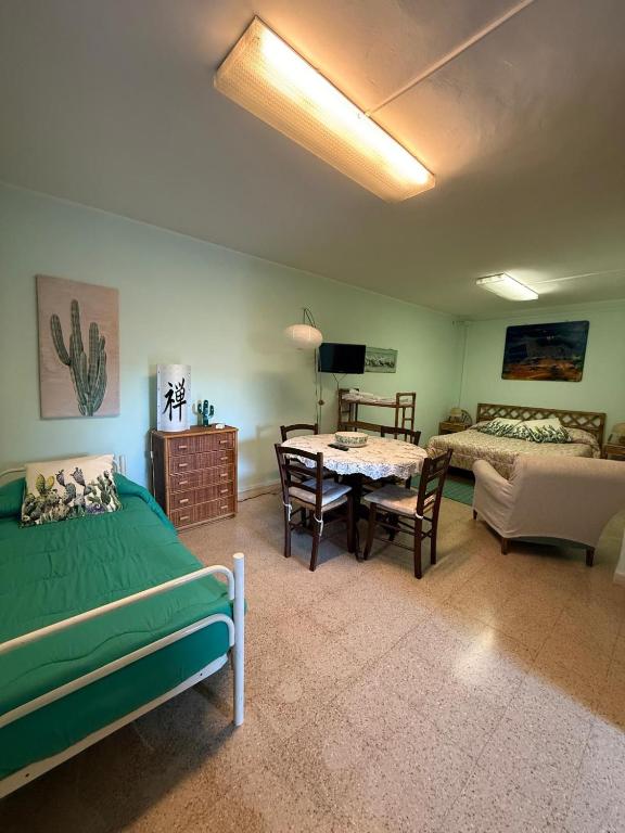 Il Cactus