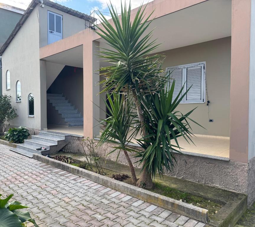a palm tree in front of a house at Garden House - Hamallaj in Hamallë