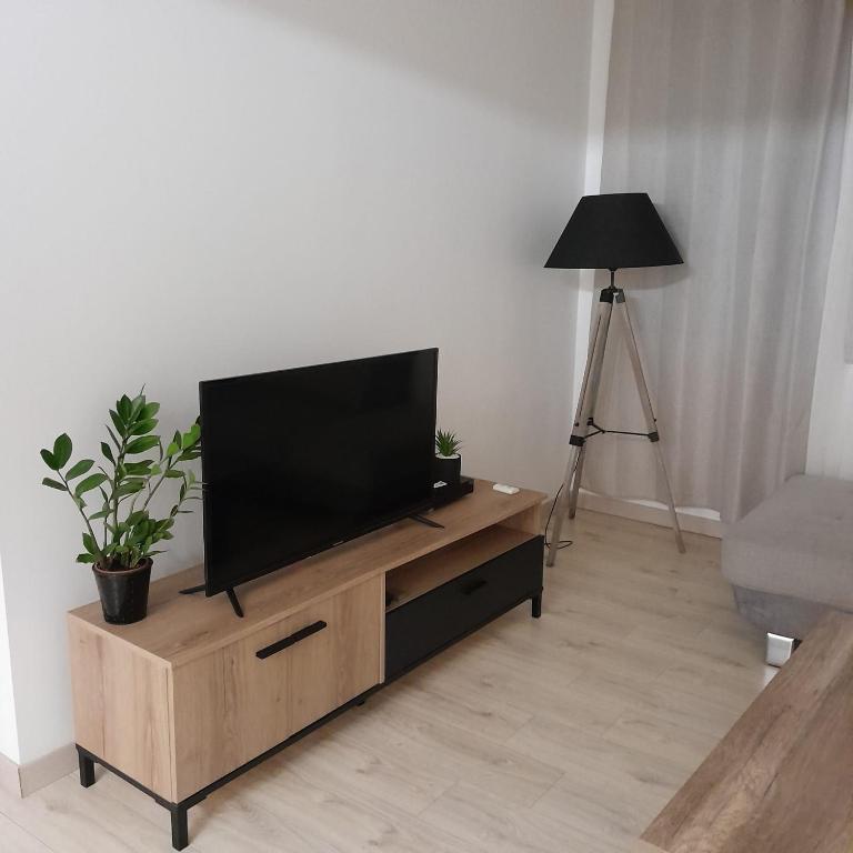 a living room with a flat screen tv on a wooden entertainment center at Maison 3 chambres et jardin in Le Mans