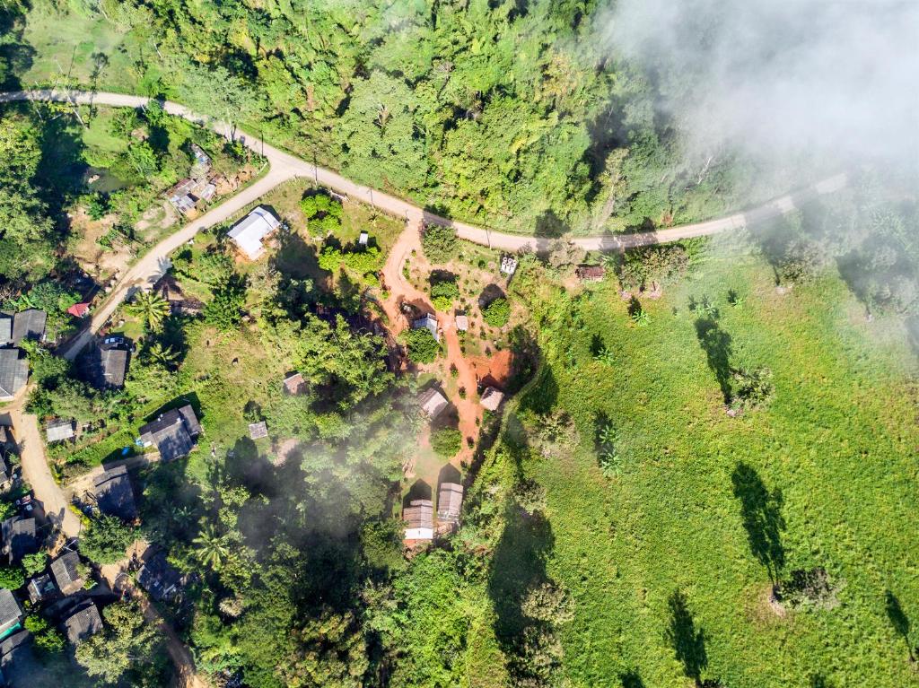 an aerial view of a road in a forest at Doo-Dao-Doi Farm & Stay in Chiang Dao