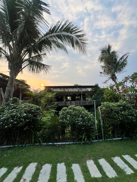 a palm tree and a building with a palm tree at Homestay GETA House in Ấp Thanh Sơn (1)