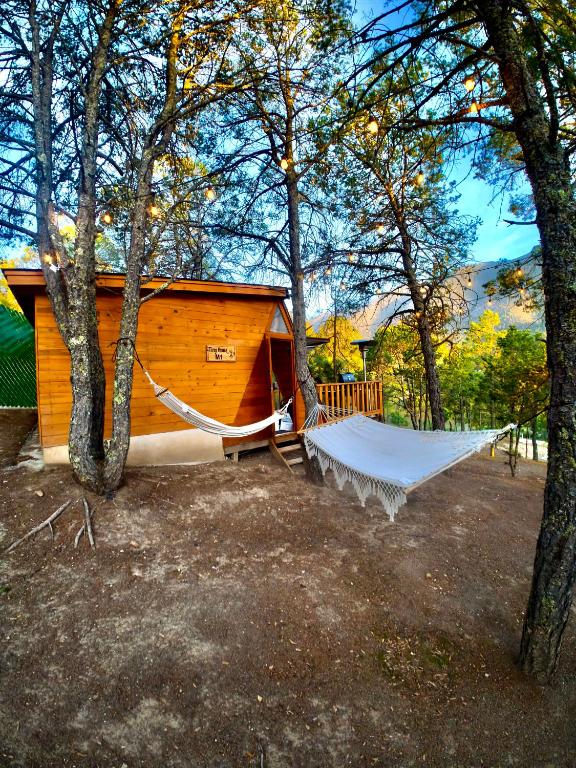 a hammock in a yard in front of a cabin at Glamping MORET Tiny House M1 in Los Lirios