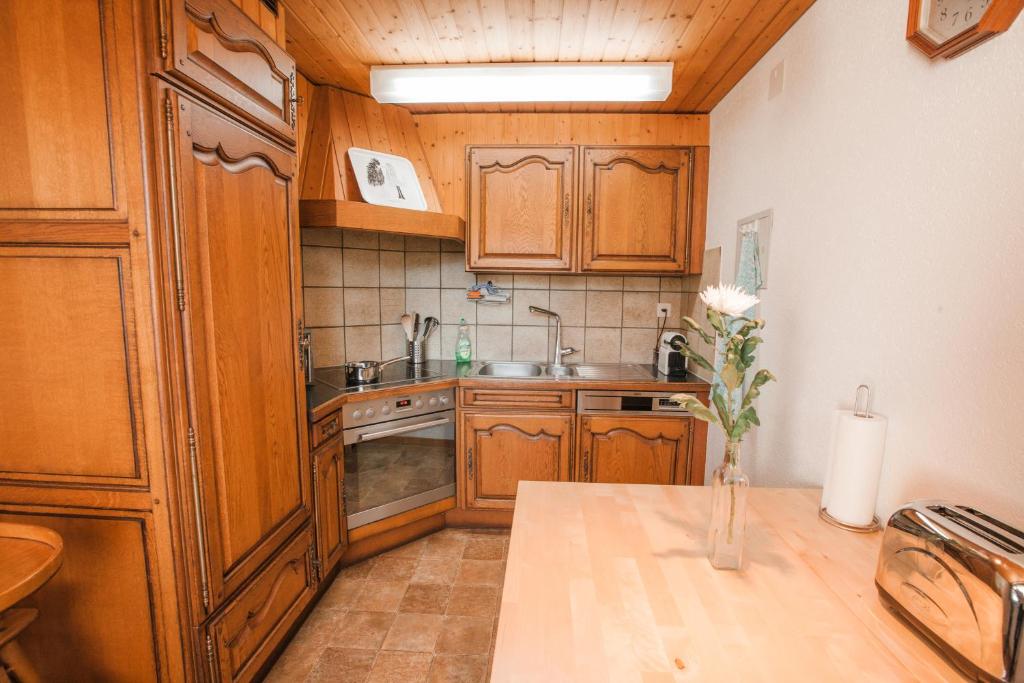 Kuchyň nebo kuchyňský kout v ubytování apartment Monte Castello