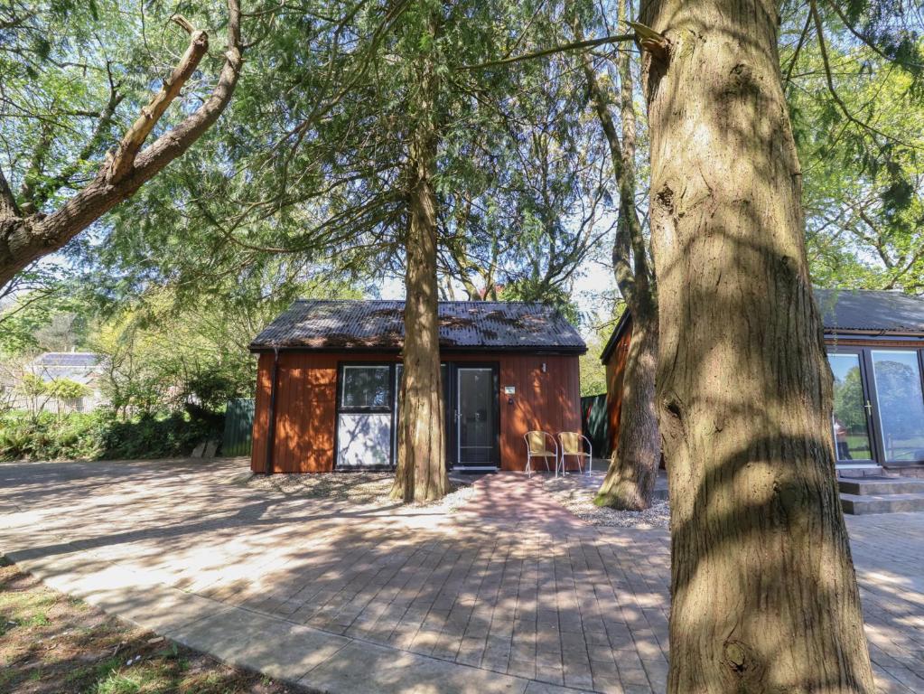 a small cabin in the middle of trees at Fern in Barnstaple