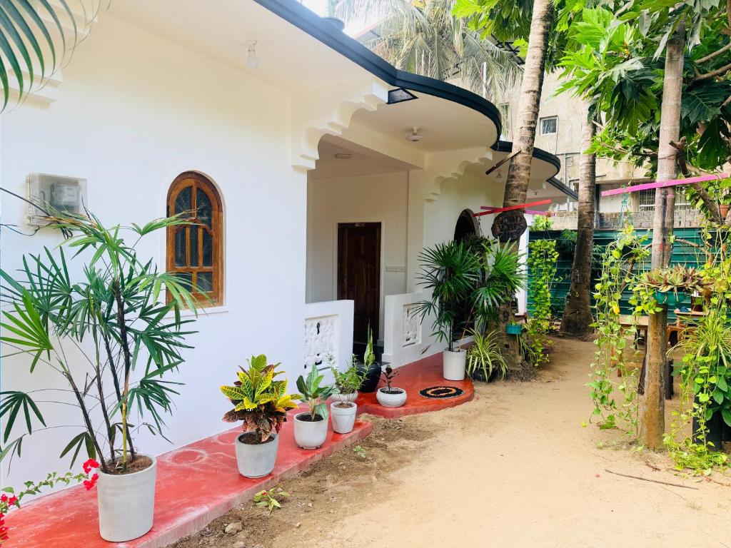 a group of potted plants on a porch of a house at Green House Holiday Villa in Trincomalee