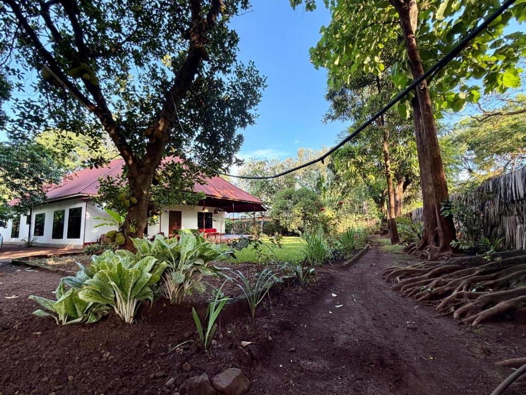 a garden with trees and plants in front of a house at Karibu Burudika Lodge in Bagamoyo