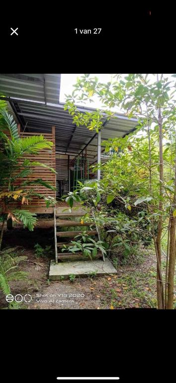 a house with a porch and some bushes and trees at Lake view house in Ko Phangan