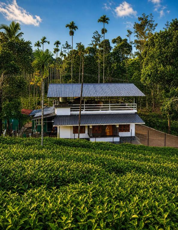 a house in the middle of a field of crops at Grass root by shelters in Vayittiri