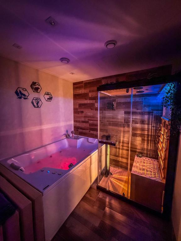 a bathroom with a large tub with a shower at Vila Bašić Vlašić MEDO Spa Apartman Sauna & Jacuzzi in Vlasic