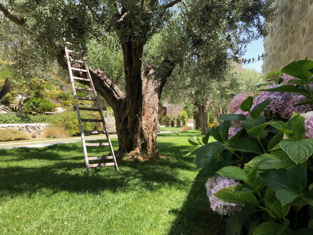Masseria Agnello Relais
