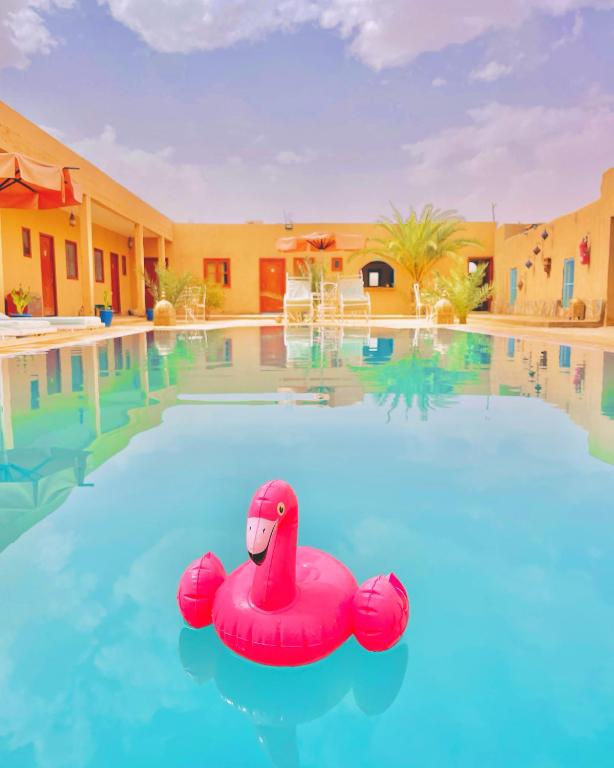 a pool with a pink swan in the water at Merzouga Hotel Activities in Merzouga