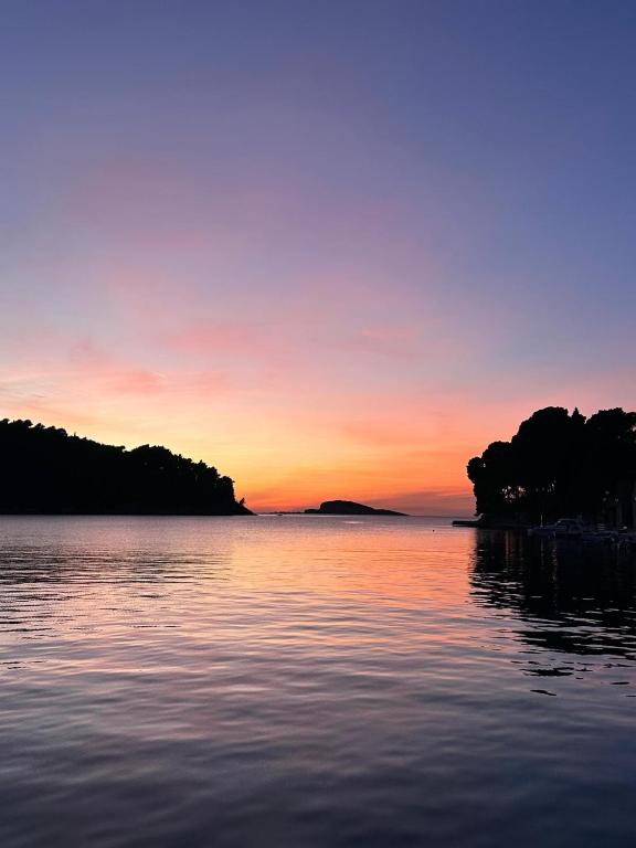 a sunset over a body of water with trees at Gorgeous apartment Dora in Cavtat