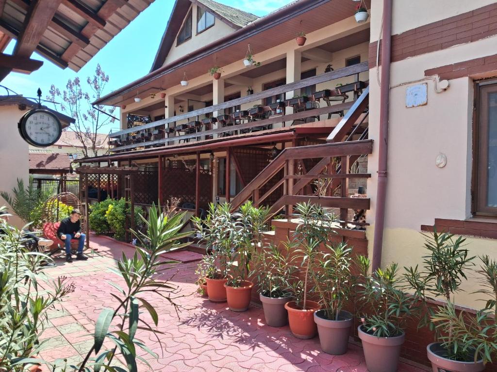 a building with a bunch of potted plants and a clock at Casa Ecaterina 2Mai in 2 Mai