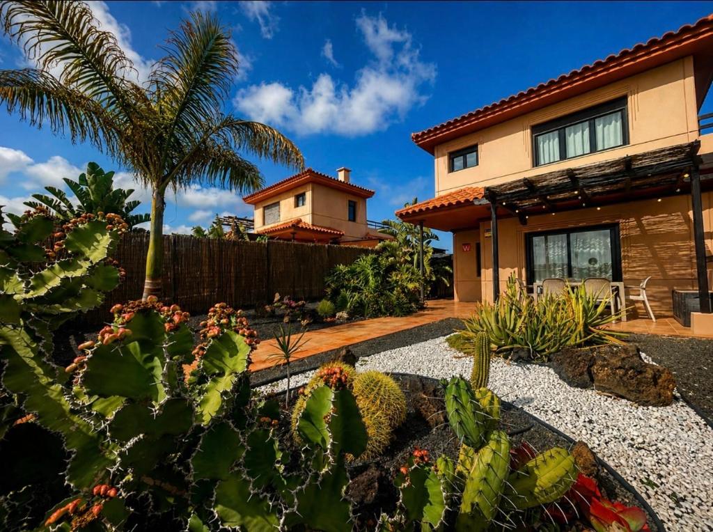 a house with a palm tree and a garden at Villa Twins in Lajares