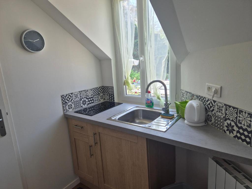 a small kitchen with a sink and a window at Hakuna Matata in Saint-Brieuc