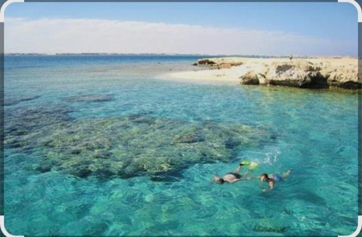 two people swimming in the water near a beach at Luxury Studio, pool, Private beach & close to Airport in Hurghada