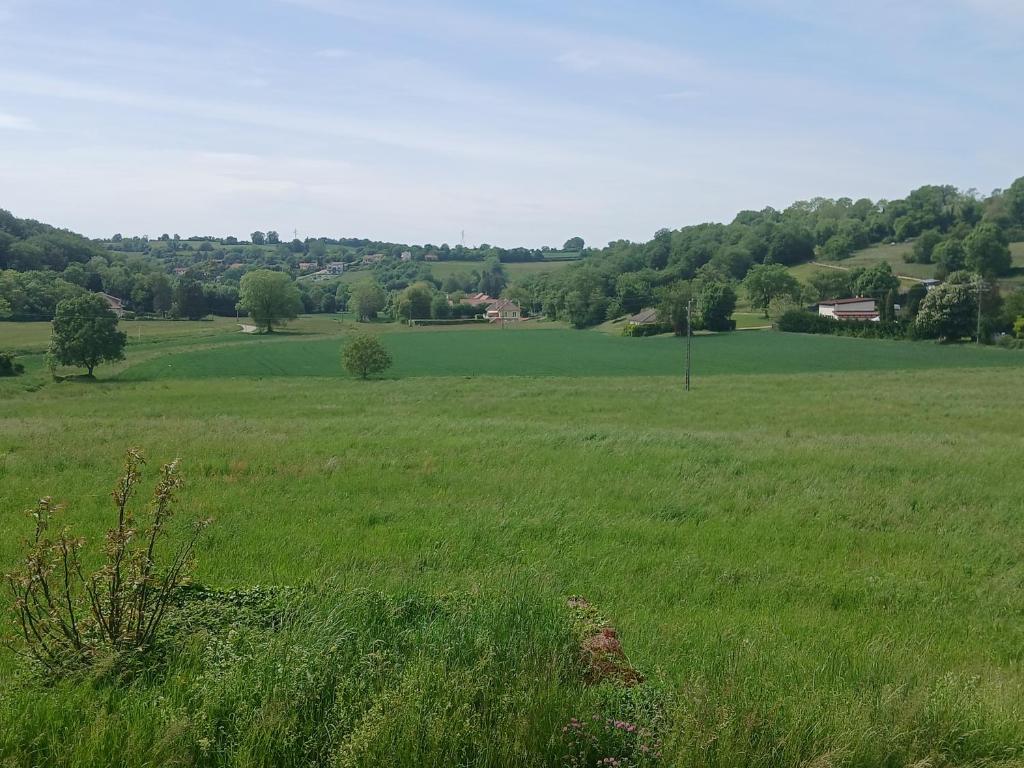 a field of green grass with trees in the distance at Chambres d'hôtes in Annoisin-Chatelans