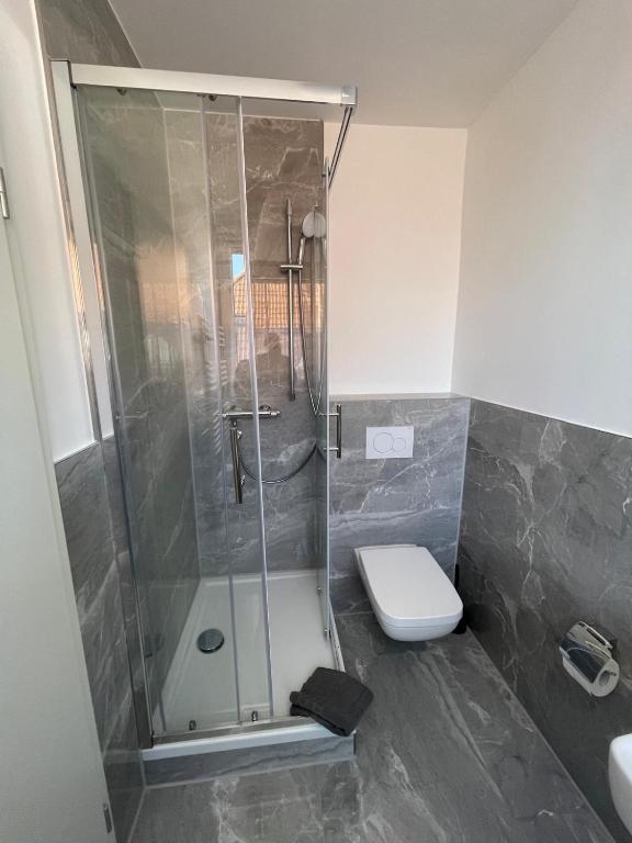 a bathroom with a shower with a toilet and a sink at Haus Kormoran Borkum in Borkum