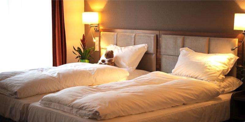 Falken am Rotsee - Resim 9