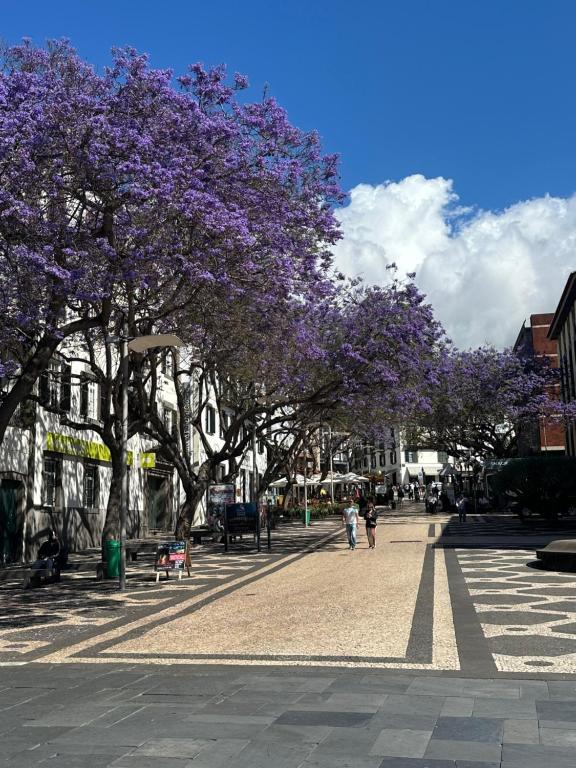a street with trees with purple flowers on them at Teleferico Center Funchal in Funchal