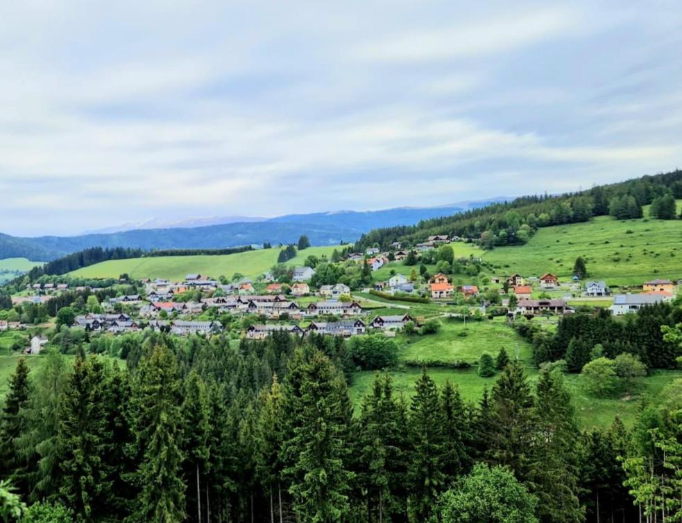 a small town on a green hill with trees at Buntes Bergglück 1923 in Ober-Gossen