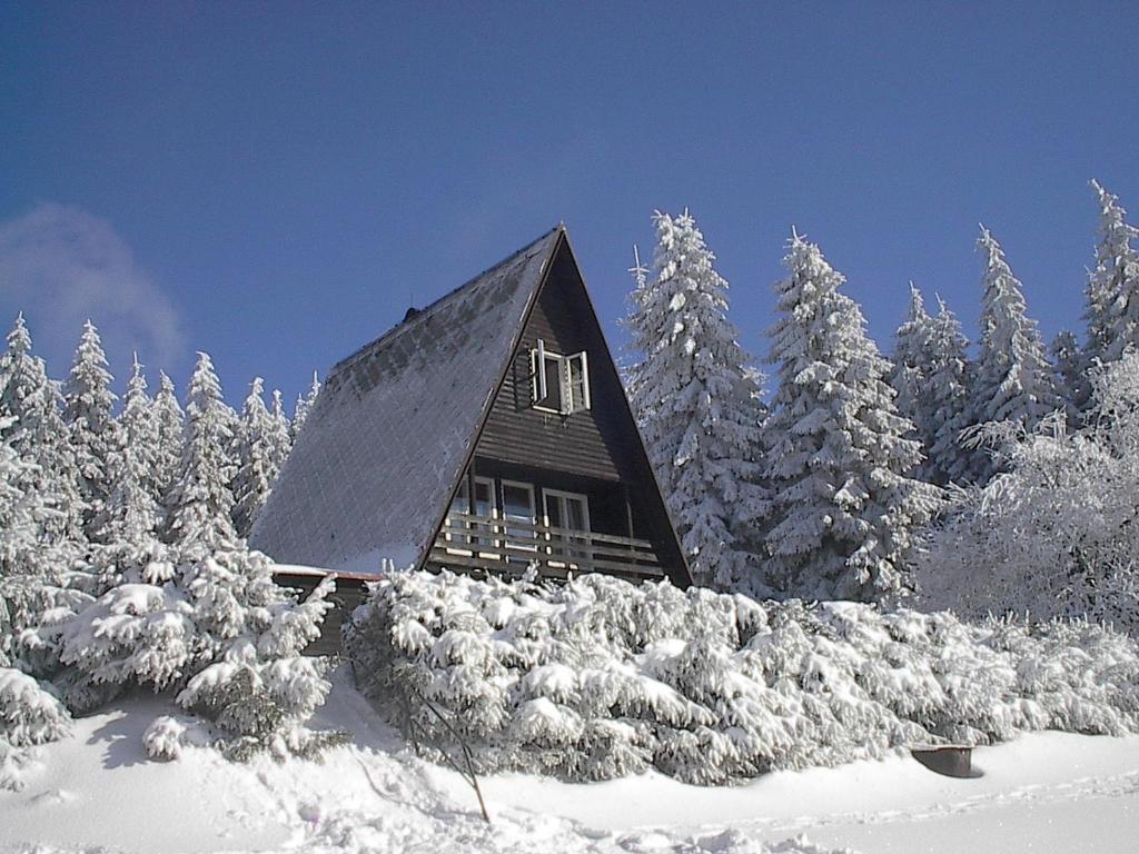 una cabaña en la nieve con árboles nevados en Chata Čenkovice, en Čenkovice