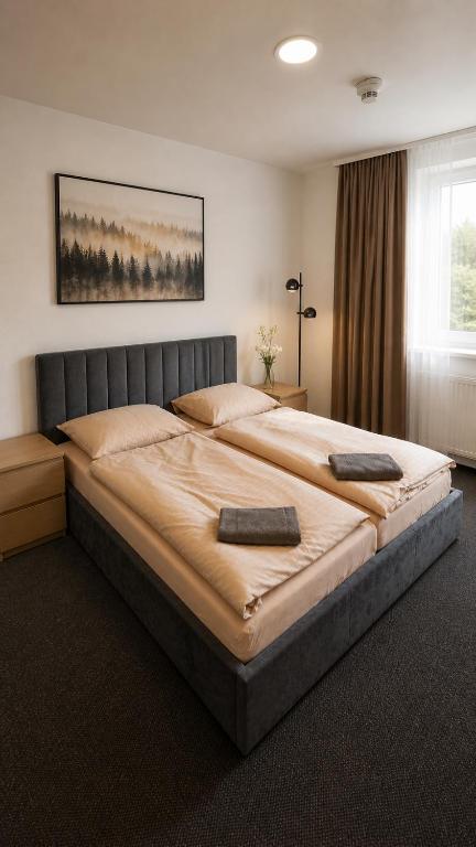 ein Schlafzimmer mit einem großen Bett und zwei Kissen darauf in der Unterkunft HLBOKÉ Hotel & Lesopark in Bojnice