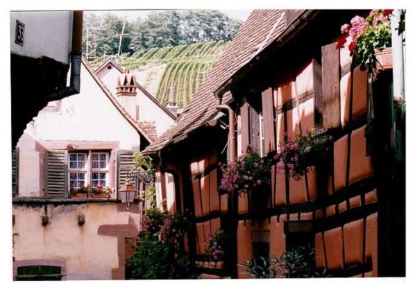 Gîte Elisa et Léna – photo 30