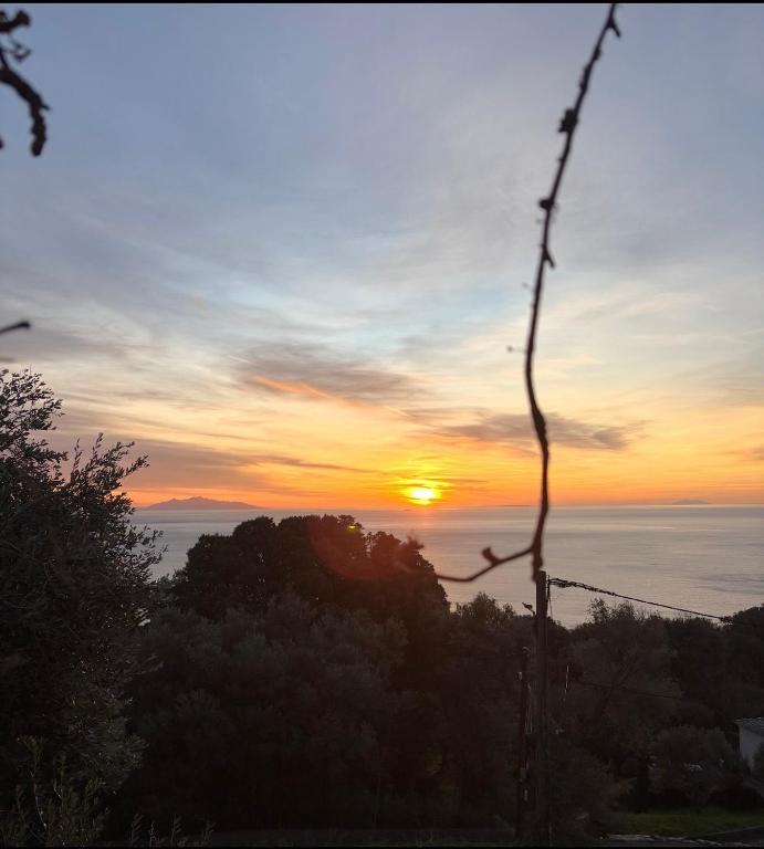 a sunset over the ocean with trees in the foreground at Villa la serella in Brando