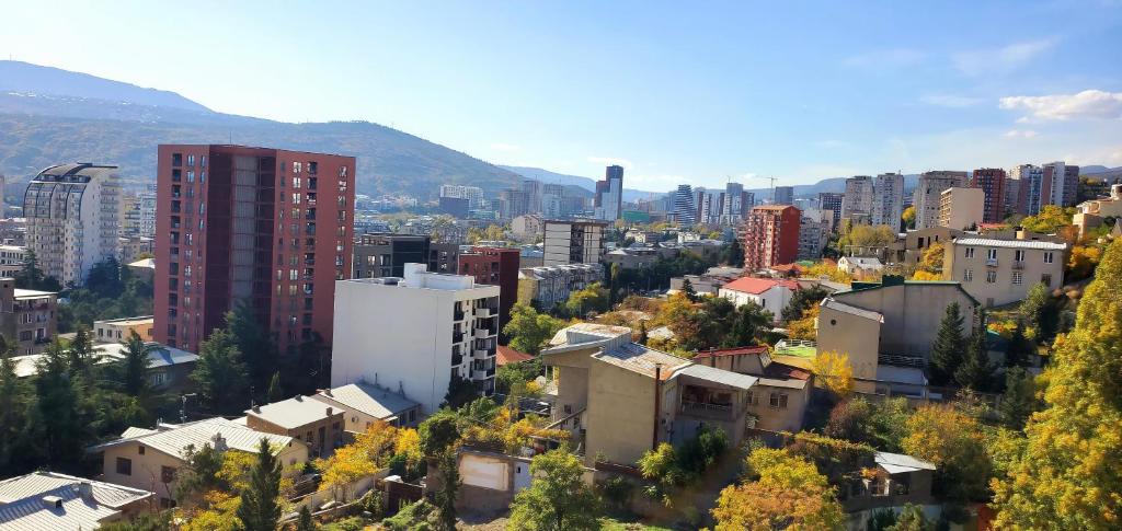 فضای داخلی Cozy apartment در تفلیس - تصویر ۳