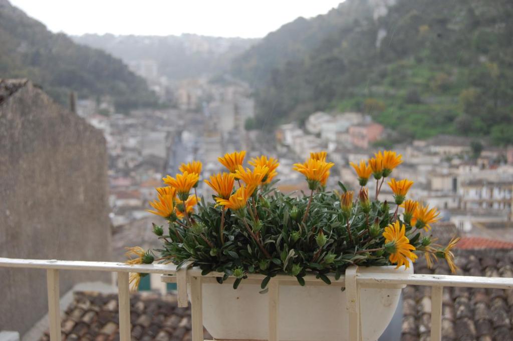 a planter filled with orange flowers on a balcony at La Dimora Sicula in Modica